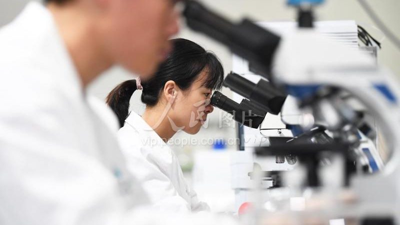 CRO软件定制开发：助力医药研发的智慧引擎