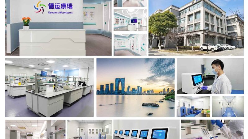 悬浮细胞培养：揭秘其关键步骤与注意事项**