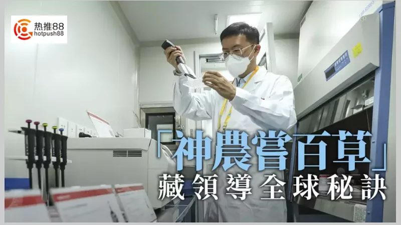 全自动PCR分析仪：揭秘其核心技术参数**