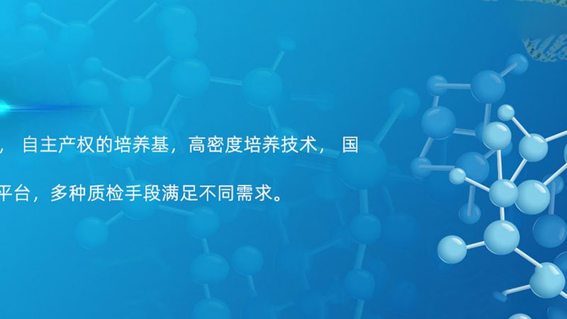 生物医药注册申报：关键步骤与注意事项