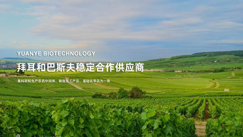 GMP车间设备安装调试，价格如何确定？关键因素盘点**
