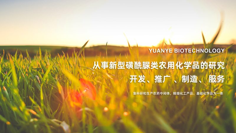 微载体细胞规模化生产：揭秘技术背后的秘密**