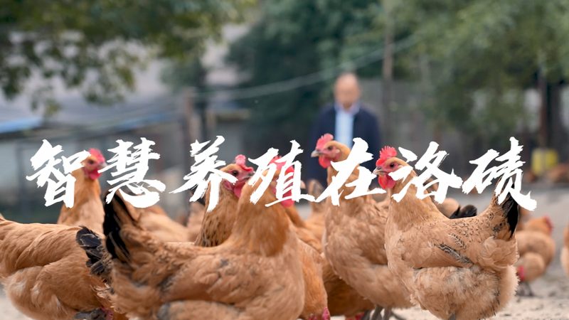工程有限公司