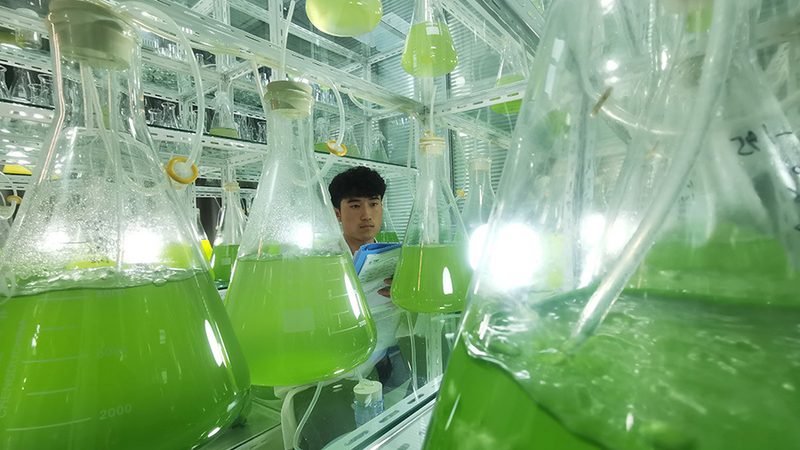 细胞工厂设备：如何选择最适合的合作伙伴**